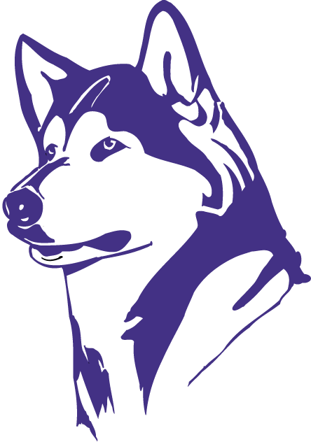 Washington Huskies 1995-2000 Partial Logo t shirts DIY iron ons v2